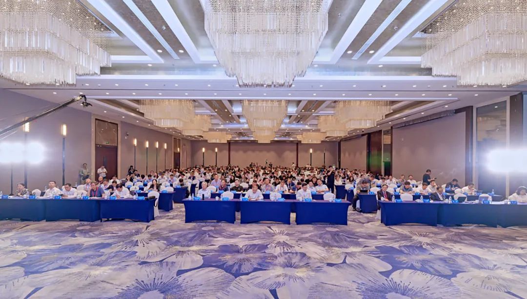 202505301748595769737432.jpg 5.jpg